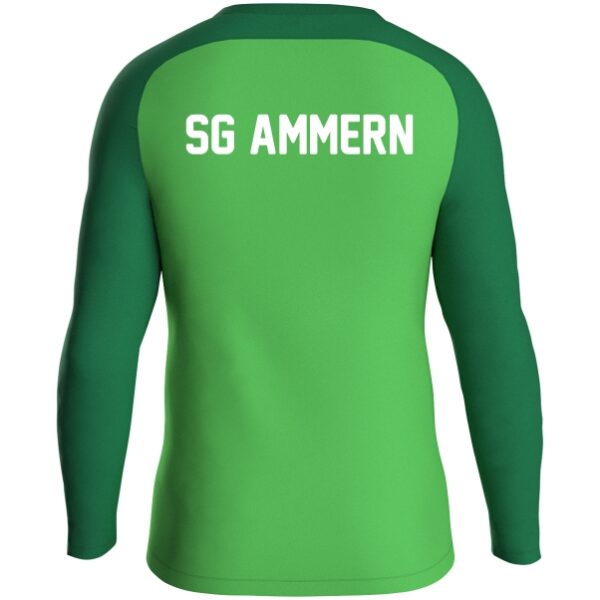 SG Ammern Sweatshirt Iconic Kinder – Bild 2