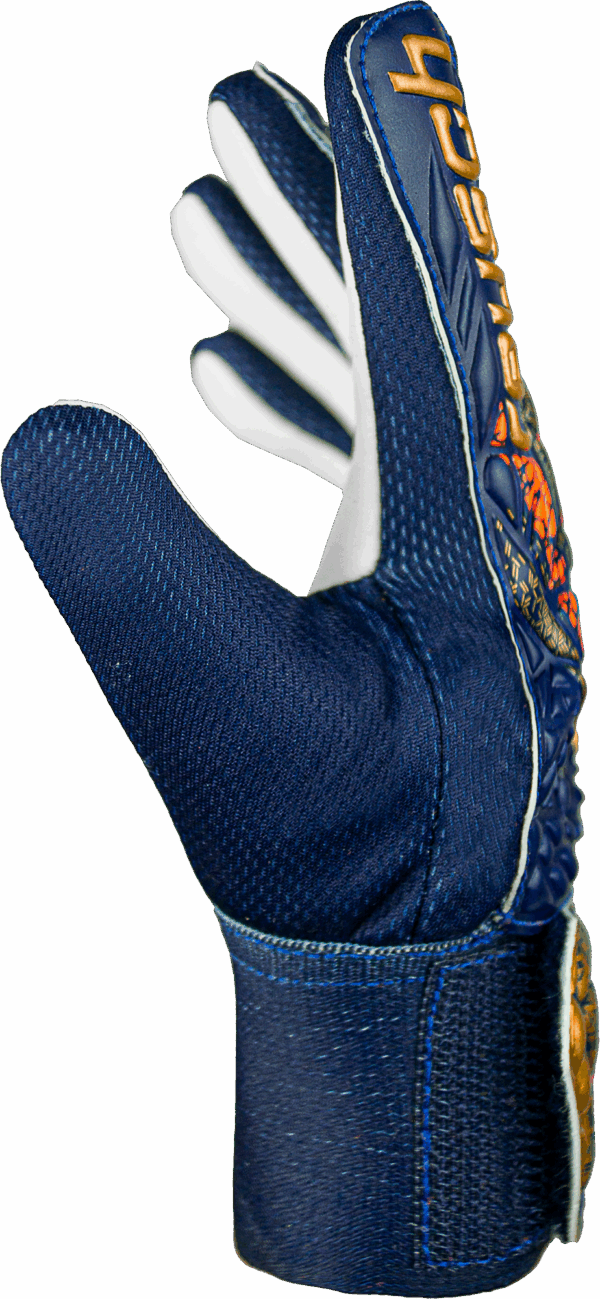 REUSCH Attrakt Starter Grip PREMIUM BLUE / GOLD – Bild 3