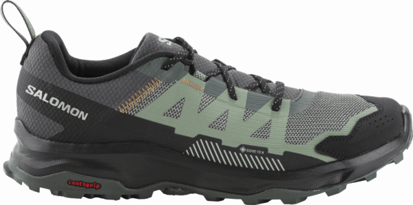 SALOMON SHOES ARDENT GTX Ubnchi/Agv Gr/Asphal URBAN CHIC/AGAVE GREEN/ASPHALT